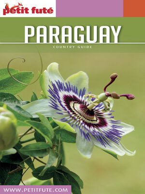 cover image of PARAGUAY 2016 Petit Futé